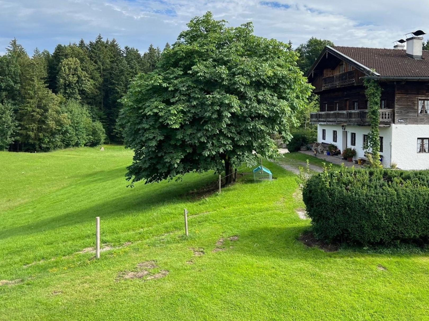 Fewo Staudinger Irschenberg Buitenkant foto